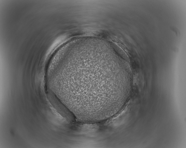 X0000111430101200908101124