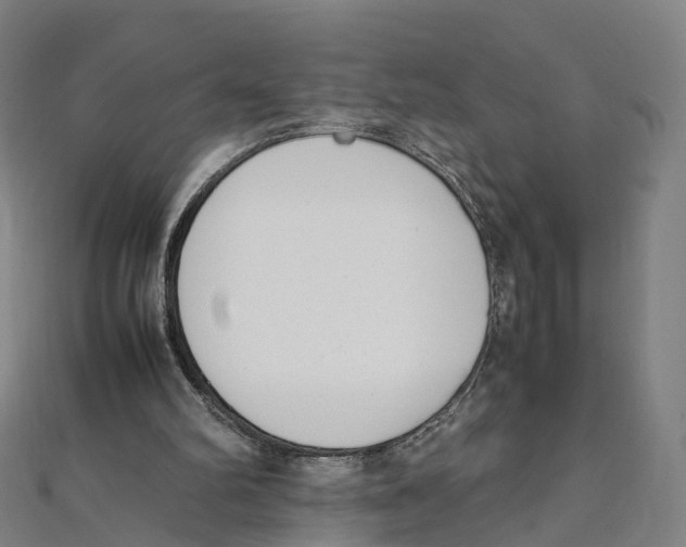 X0000111430102200908101124