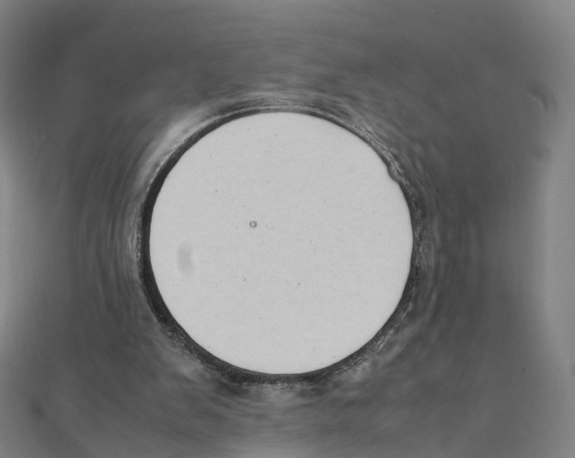X0000111430103200908101124