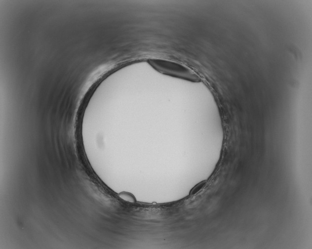 X0000111430104200908101124