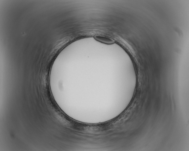 X0000111430105200908101124