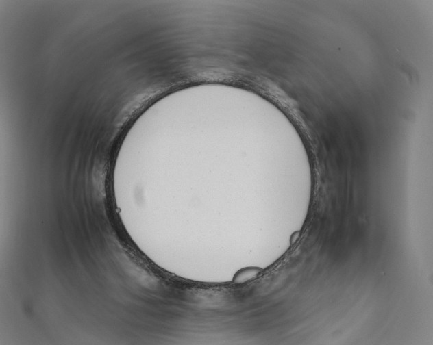 X0000111430106200908101124
