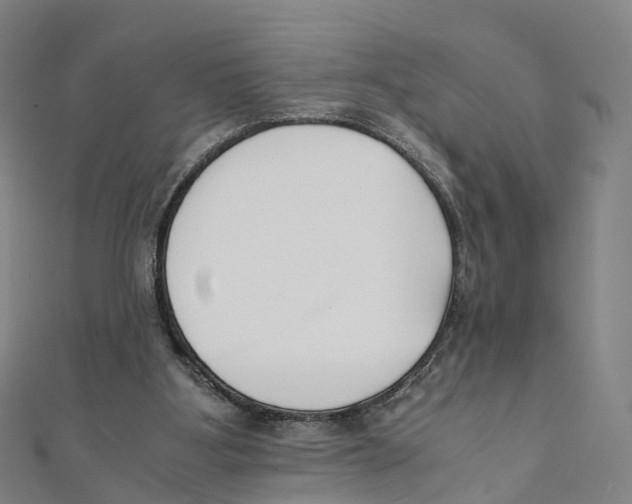 X0000111430107200908101124