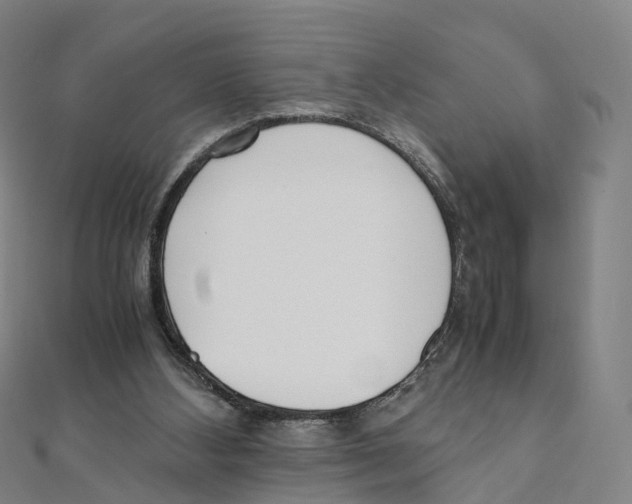 X0000111430108200908101124