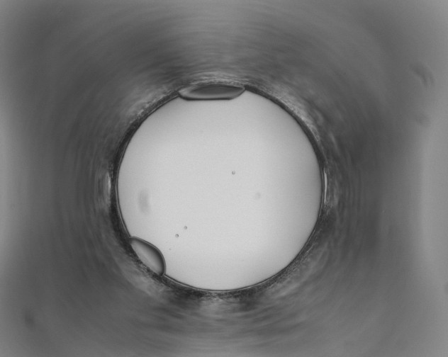X0000111430109200908101124