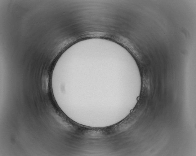 X0000111430110200908101124