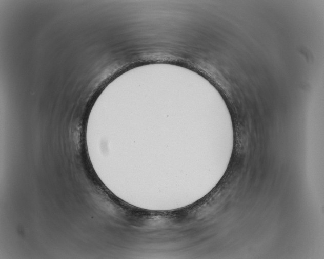 X0000111430111200908101124