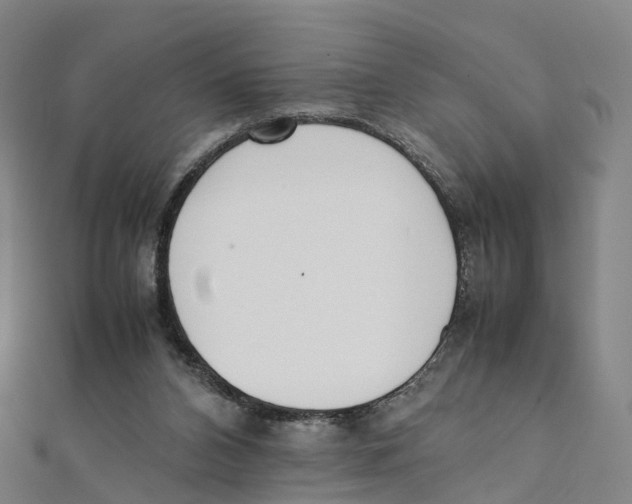 X0000111430112200908101124