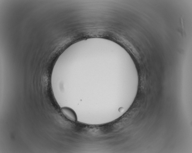 X0000111430113200908101124