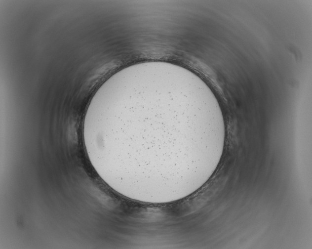 X0000111430114200908101124