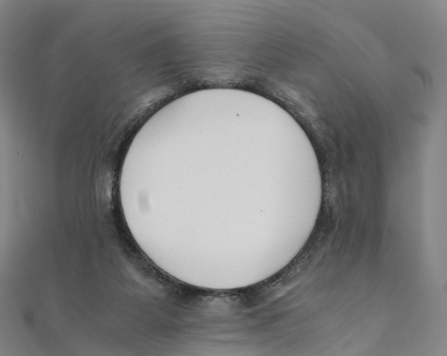 X0000111430115200908101124