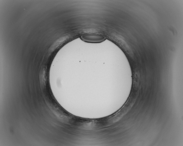 X0000111430116200908101124