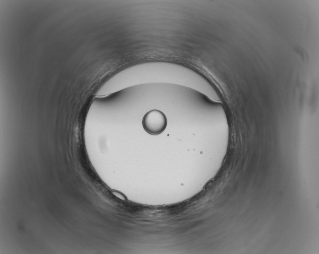 X0000111430117200908101124