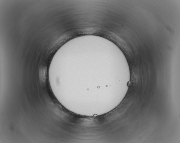 X0000111430118200908101124