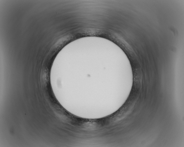 X0000111430119200908101124