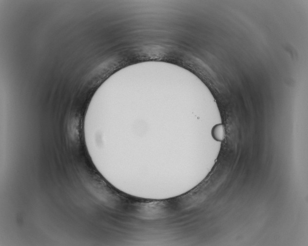 X0000111430122200908101124