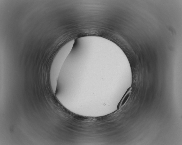 X0000111430124200908101124