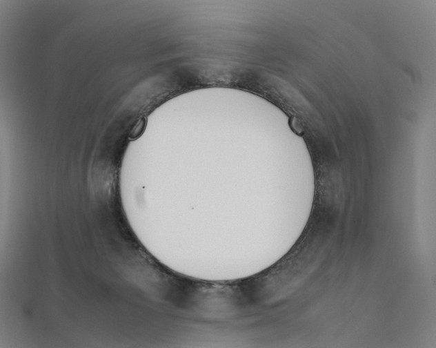 X0000111430125200908101124