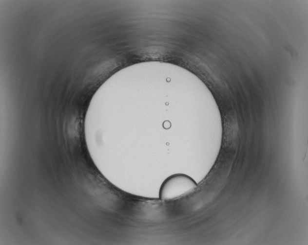 X0000111430126200908101124