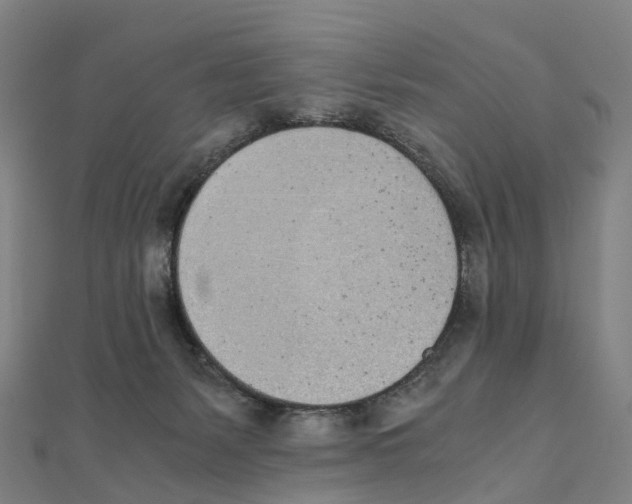 X0000111430127200908101124