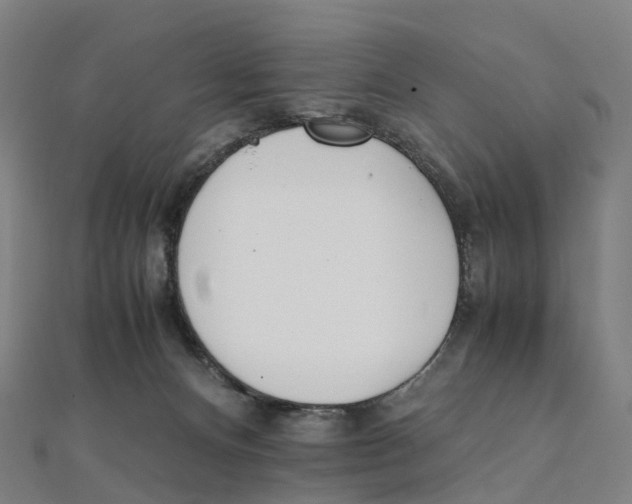 X0000111430128200908101124