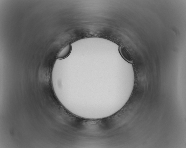 X0000111430129200908101124