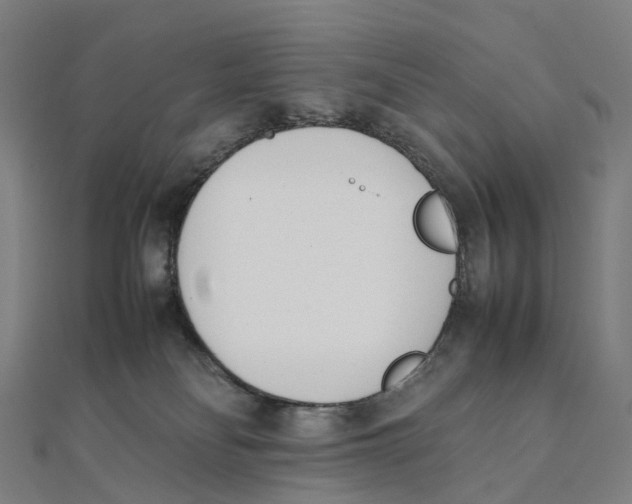 X0000111430134200908101123