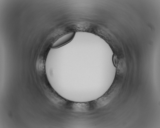 X0000111430137200908101123