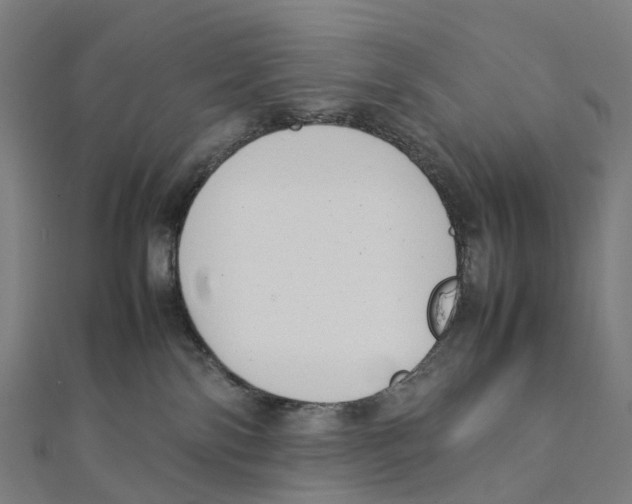 X0000111430138200908101123