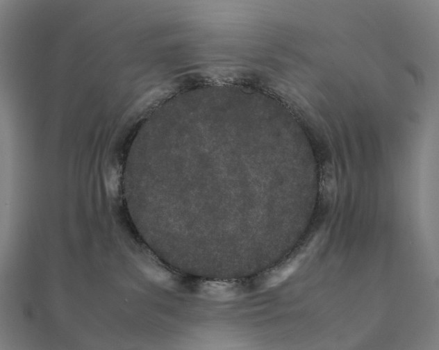 X0000111430139200908101123