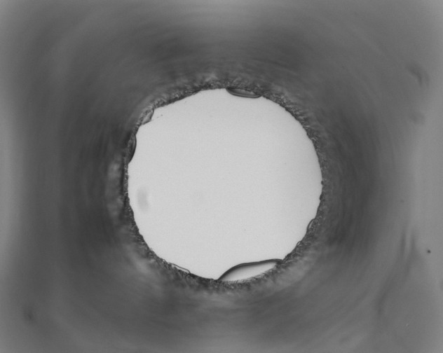 X0000111430144200908101123
