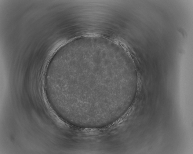 X0000111430145200908101123