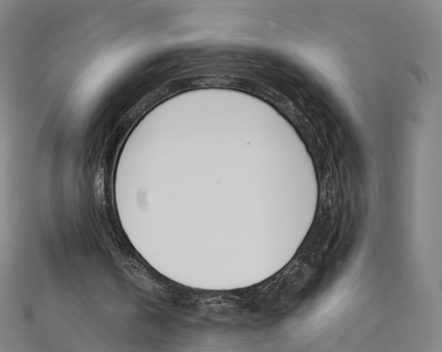 X0000111430146200908101123