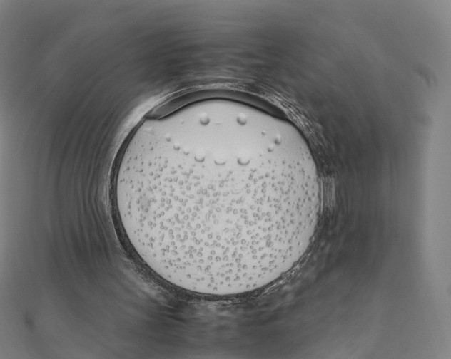 X0000111430147200908101123