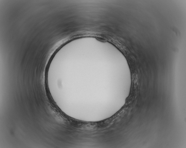 X0000111430148200908101123