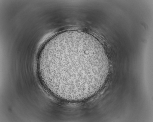 X0000111430149200908101123