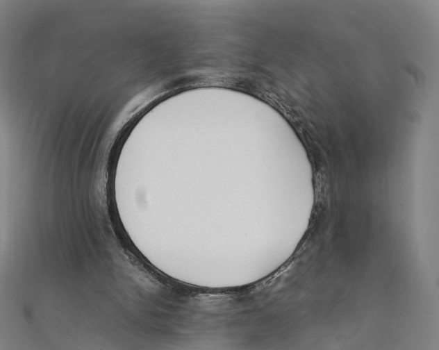 X0000111430150200908101123