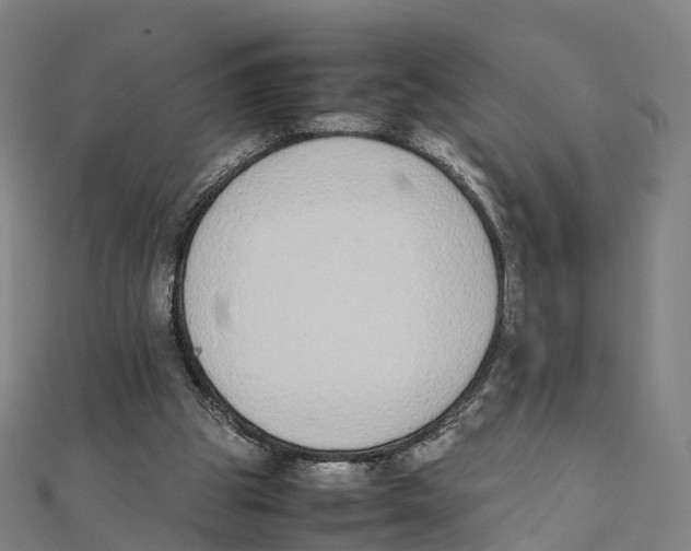 X0000111430153200908101123