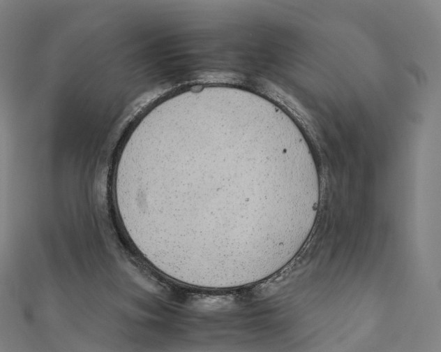X0000111430155200908101123