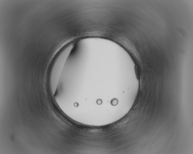 X0000111430156200908101123