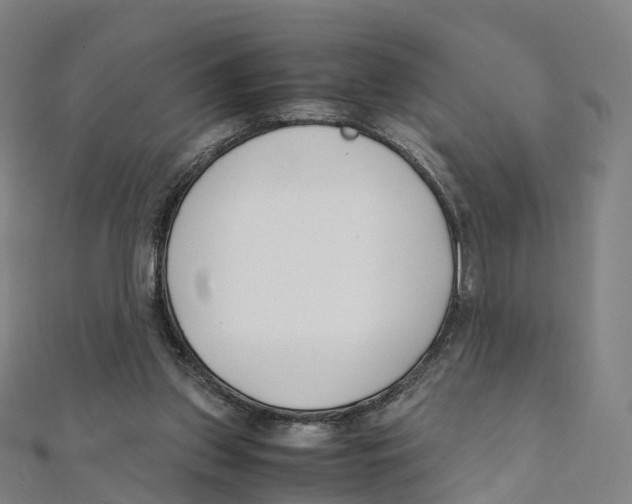 X0000111430157200908101123