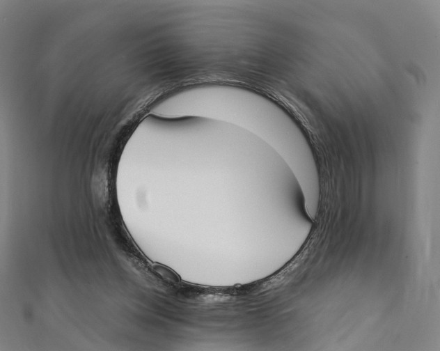 X0000111430158200908101123