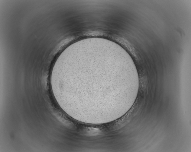 X0000111430159200908101123