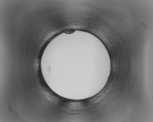 X0000111430160200908101123