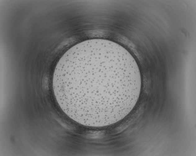 X0000111430161200908101123