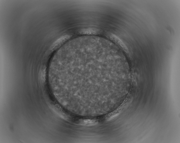 X0000111430163200908101123