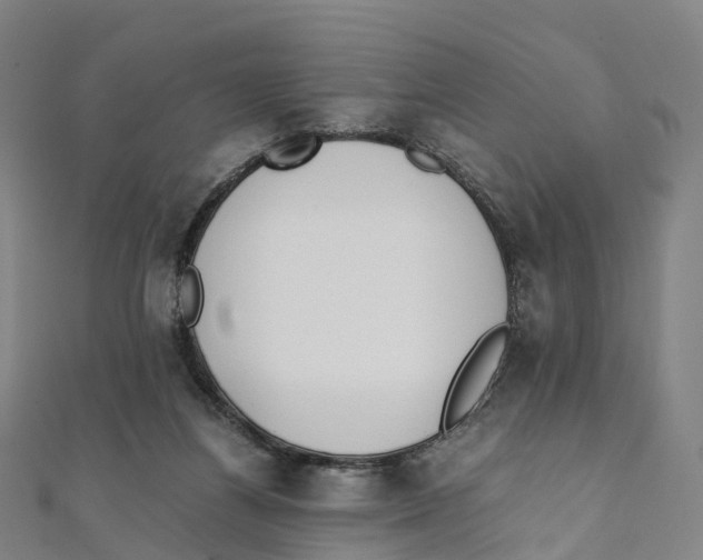 X0000111430164200908101123