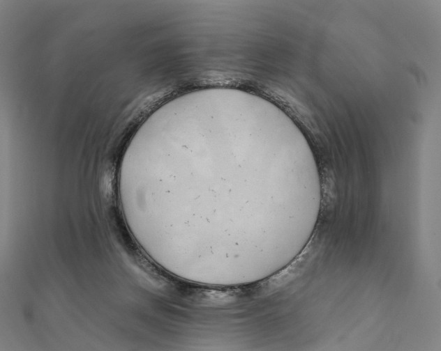 X0000111430166200908101123