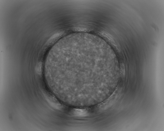 X0000111430167200908101123