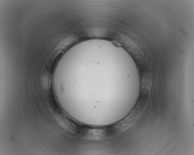 X0000111430168200908101123